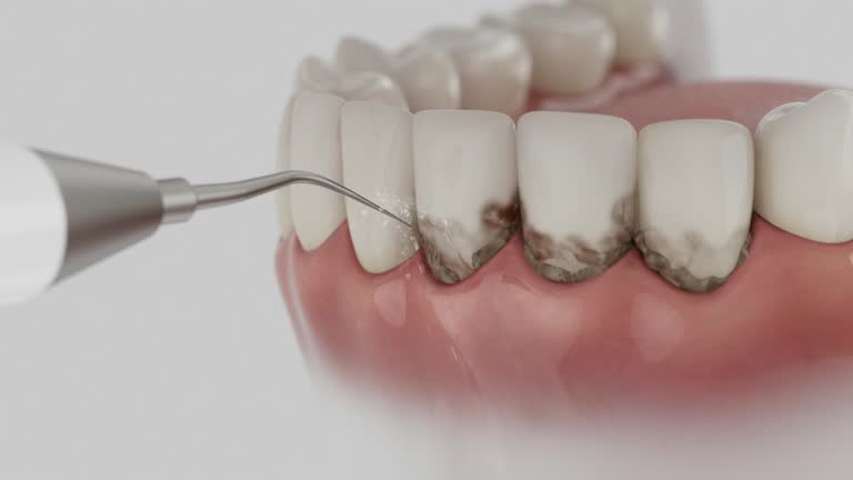 Reliable Dental contractor in James City, NC by Dentist Open Now